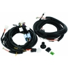 Hayman Reese Brake Harness Front Battery with 30amp Power